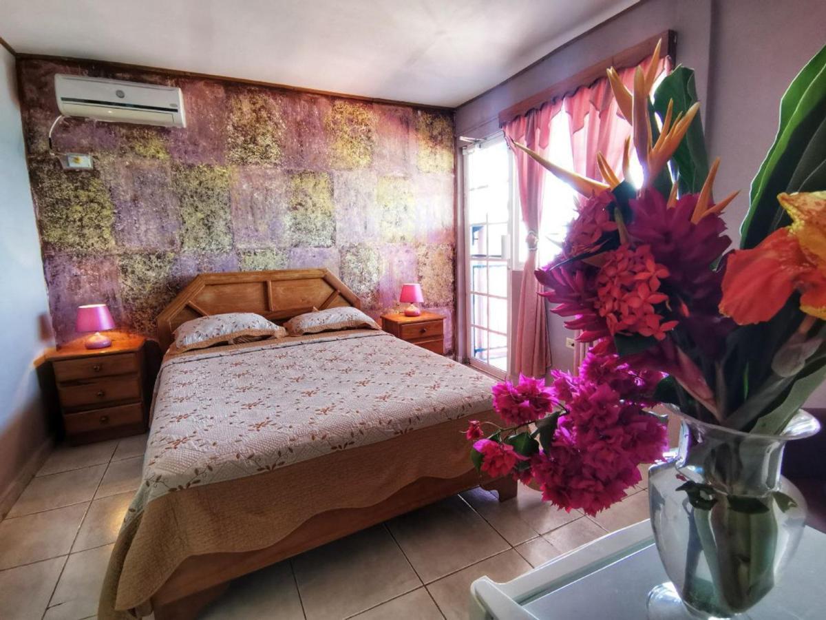 Vista Mar Hotel โบกัสทาวน์ ภายนอก รูปภาพ